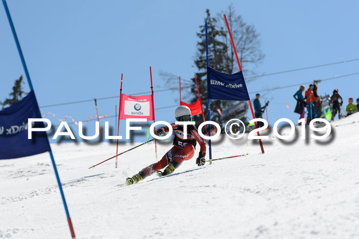 Ziener Cup WF,Finale, Quali + PSL, 30.03.2019