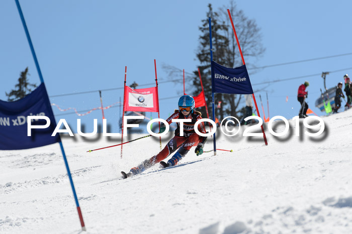 Ziener Cup WF,Finale, Quali + PSL, 30.03.2019