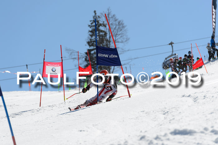 Ziener Cup WF,Finale, Quali + PSL, 30.03.2019