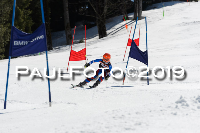 Ziener Cup WF,Finale, Quali + PSL, 30.03.2019