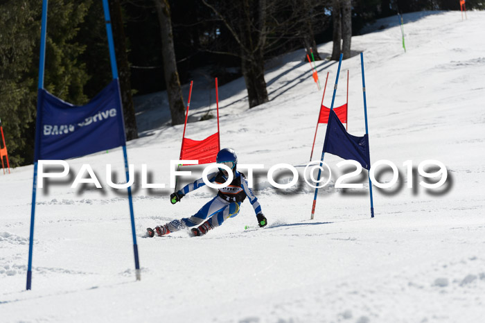 Ziener Cup WF,Finale, Quali + PSL, 30.03.2019