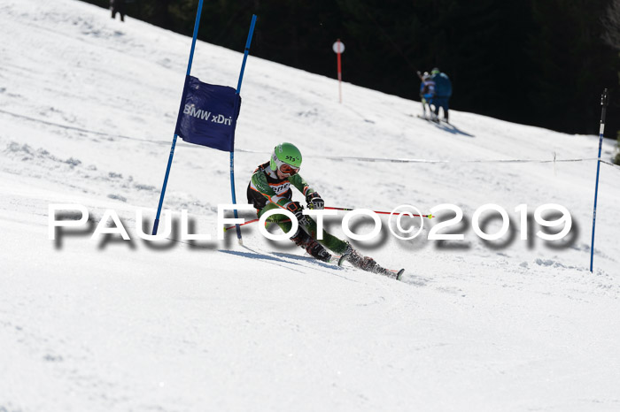 Ziener Cup WF,Finale, Quali + PSL, 30.03.2019