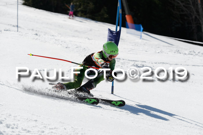 Ziener Cup WF,Finale, Quali + PSL, 30.03.2019