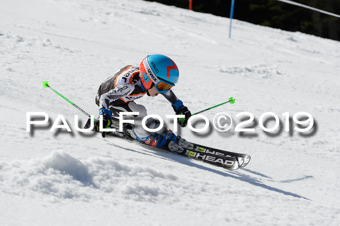 Ziener Cup WF,Finale, Quali + PSL, 30.03.2019