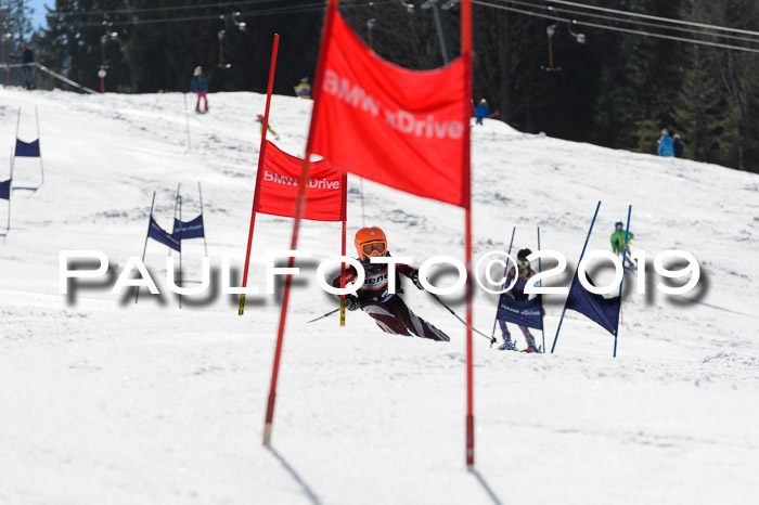 Ziener Cup WF,Finale, Quali + PSL, 30.03.2019