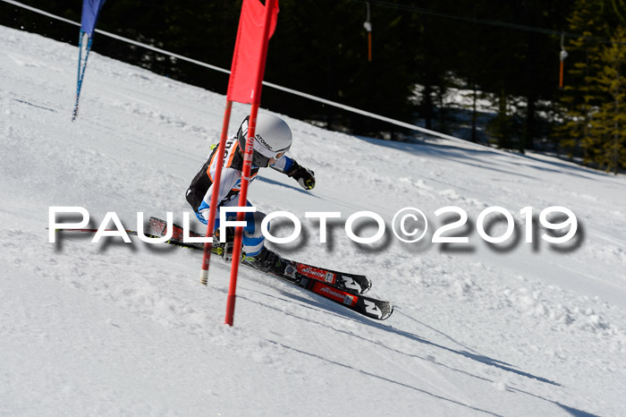 Ziener Cup WF,Finale, Quali + PSL, 30.03.2019