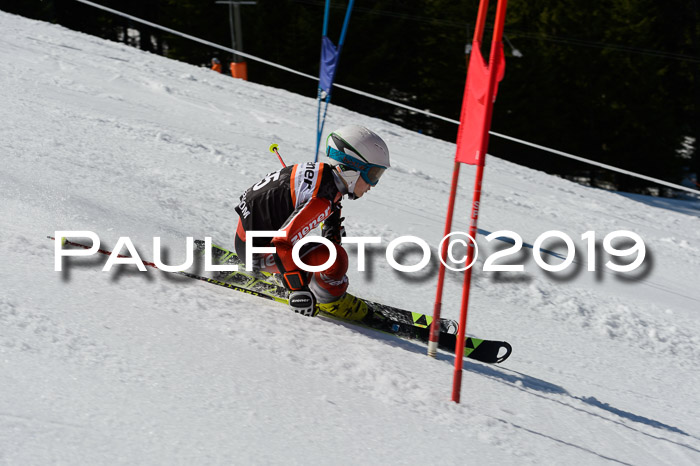 Ziener Cup WF,Finale, Quali + PSL, 30.03.2019