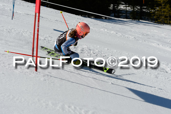 Ziener Cup WF,Finale, Quali + PSL, 30.03.2019