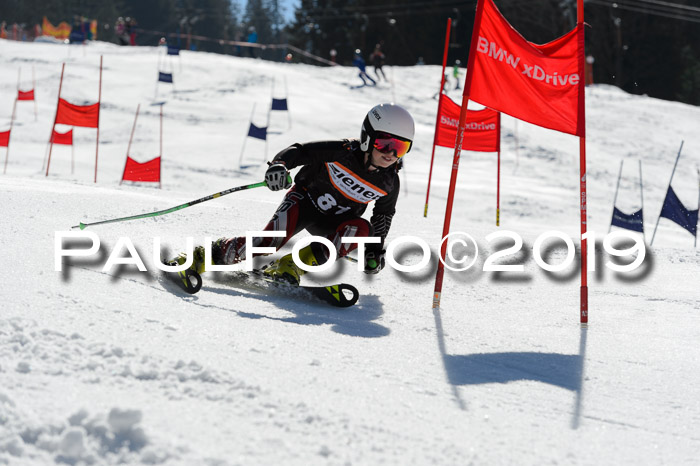 Ziener Cup WF,Finale, Quali + PSL, 30.03.2019