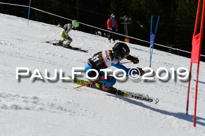 Ziener Cup WF,Finale, Quali + PSL, 30.03.2019
