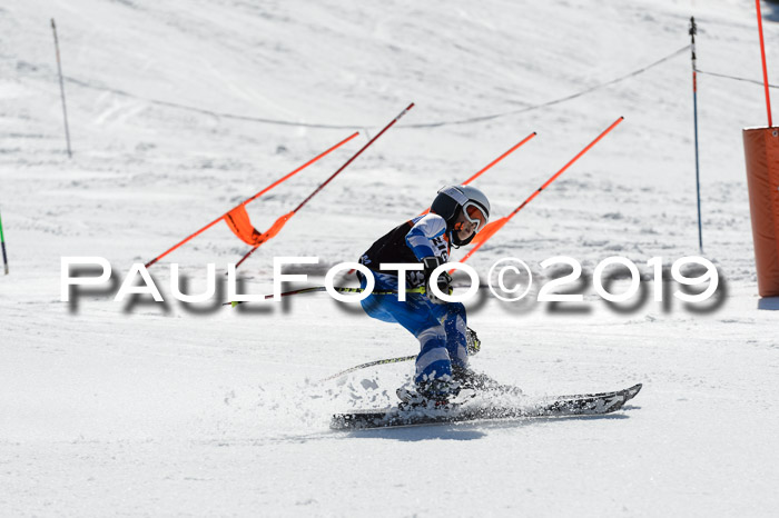 Ziener Cup WF,Finale, Quali + PSL, 30.03.2019