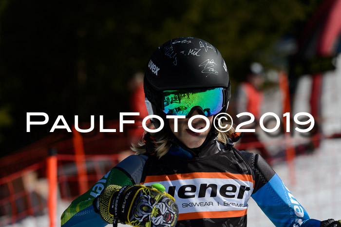 Ziener Cup WF,Finale, Quali + PSL, 30.03.2019