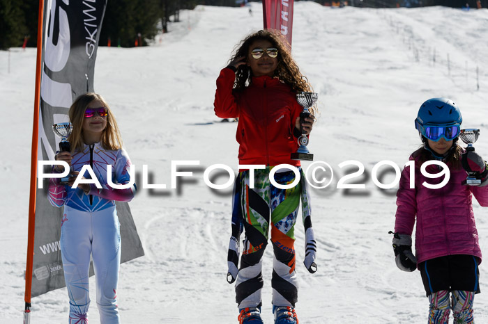 Ziener Cup WF,Finale, Quali + PSL, 30.03.2019