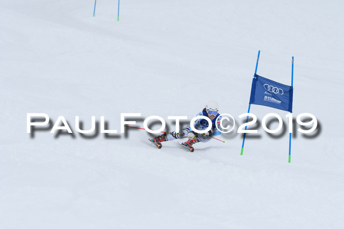 Ski Golf Masters 2019, Riesenslalom