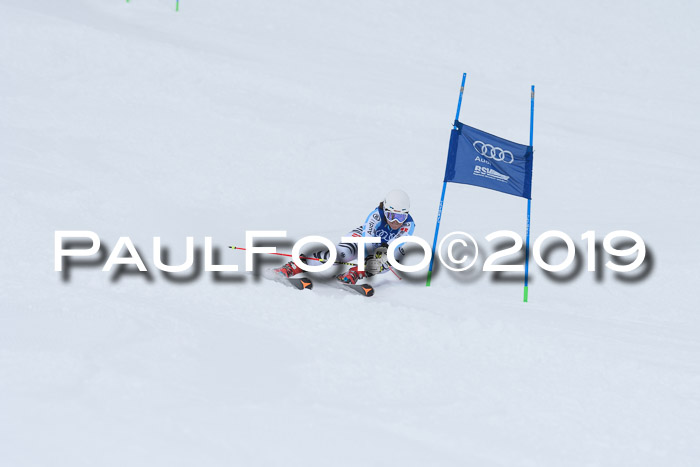 Ski Golf Masters 2019, Riesenslalom