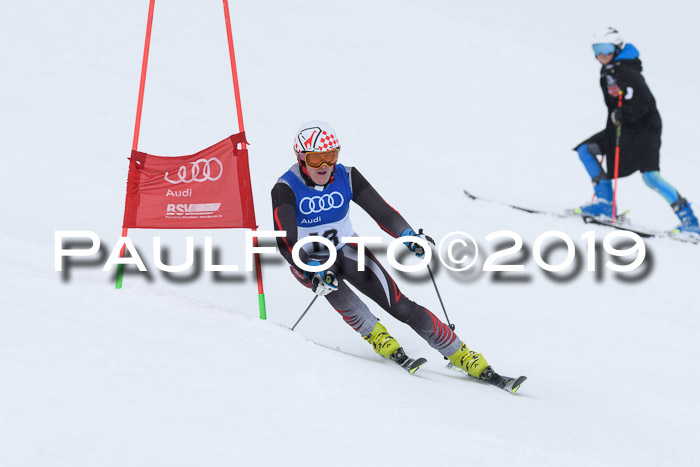 Ski Golf Masters 2019, Riesenslalom