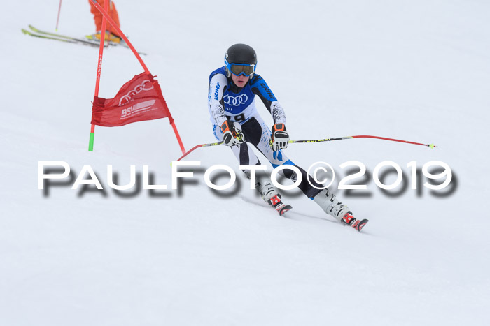 Ski Golf Masters 2019, Riesenslalom