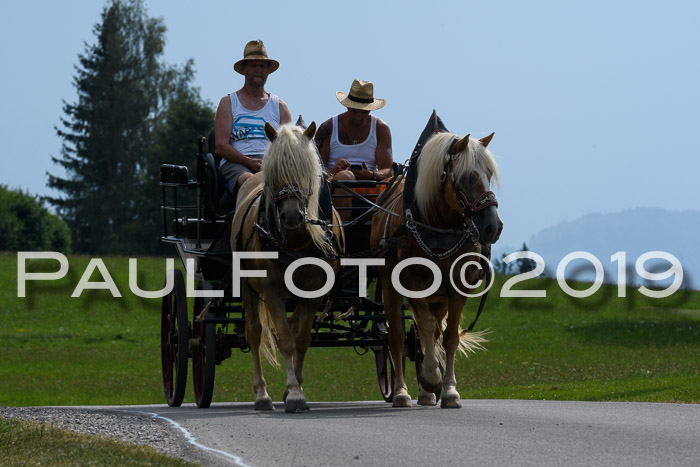 BSV Golf Turnier 2019 Einspielrunde