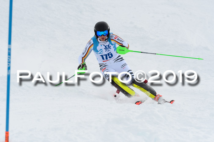 NJR Slalom Damen + Herren, Pass Thurn, 16.11.2019