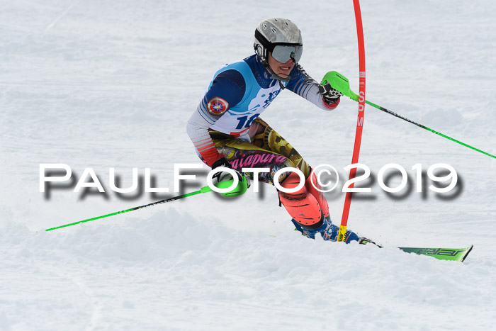 NJR Slalom Damen + Herren, Pass Thurn, 16.11.2019