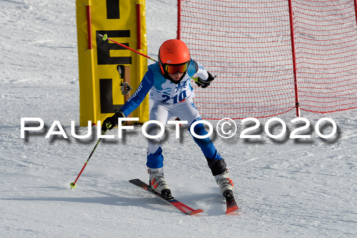 Sechzger Pokal der Skilöwen; U12 Rennserie VRS 11.01.2020