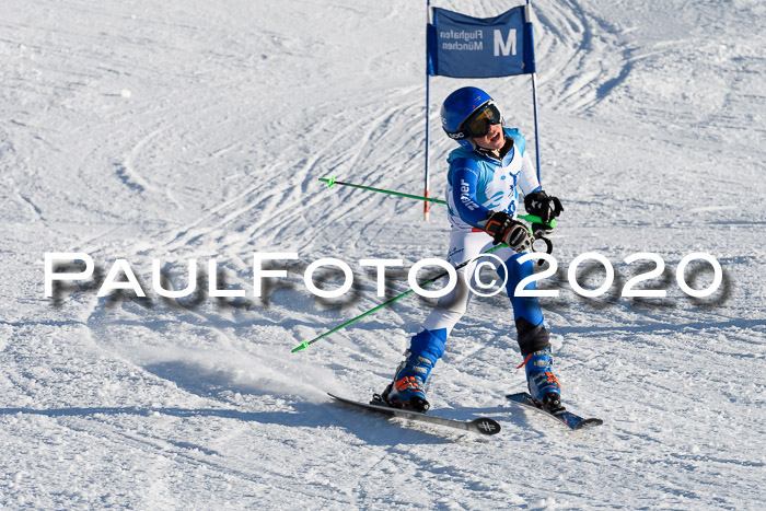 Sechzger Pokal der Skilöwen; U12 Rennserie VRS 11.01.2020