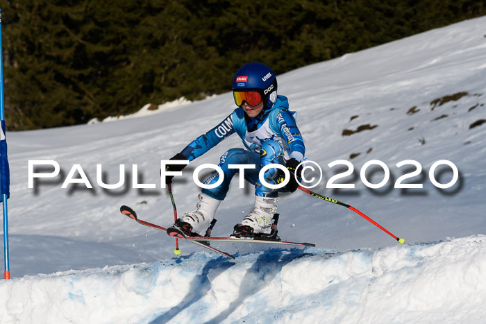 Sechzger Pokal der Skilöwen; U12 Rennserie VRS 11.01.2020