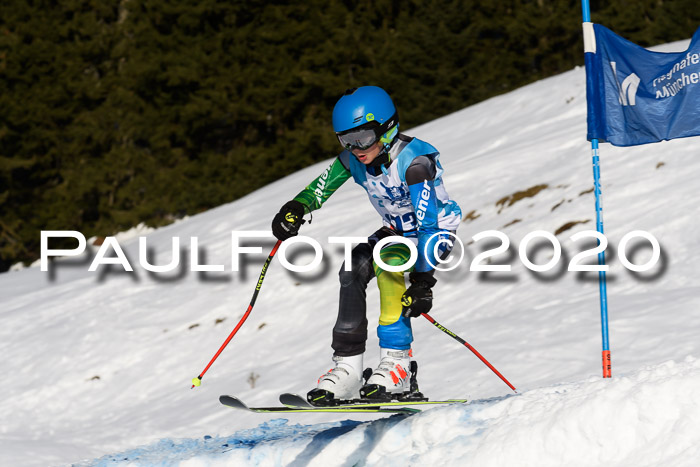 Sechzger Pokal der Skilöwen; U12 Rennserie VRS 11.01.2020