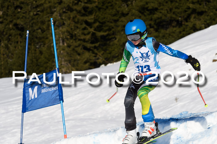 Sechzger Pokal der Skilöwen; U12 Rennserie VRS 11.01.2020