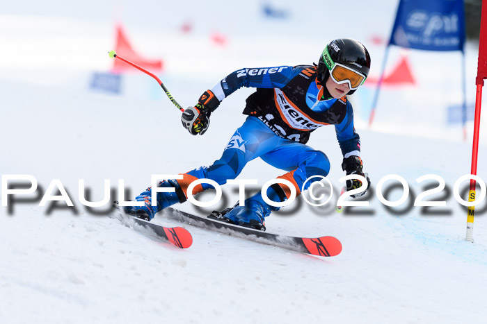 Ziener Kids Cross U12 + Reischmann Cup ASV/WF