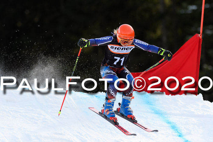 Ziener Kids Cross U12 + Reischmann Cup ASV/WF