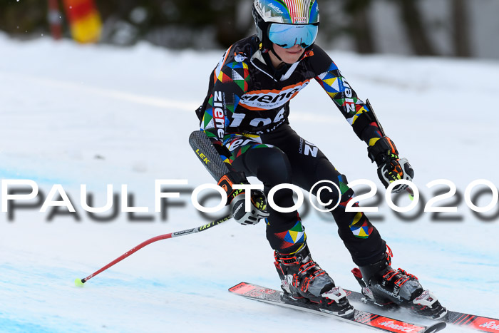 Ziener Kids Cross U12 + Reischmann Cup ASV/WF