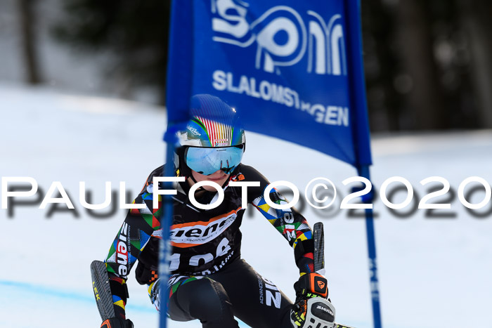 Ziener Kids Cross U12 + Reischmann Cup ASV/WF