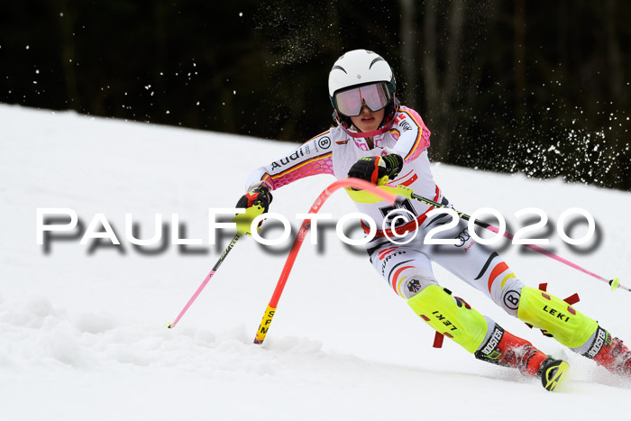 DSV Schülercup U14 IX SL 16.02.2020