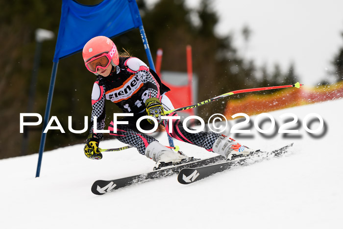 7.  Zienercup + Werdenfelser Meisterschaft 23.02.2020