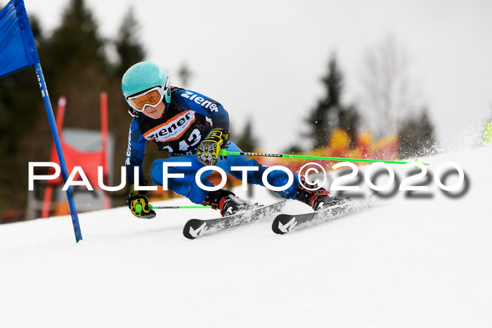 7.  Zienercup + Werdenfelser Meisterschaft 23.02.2020