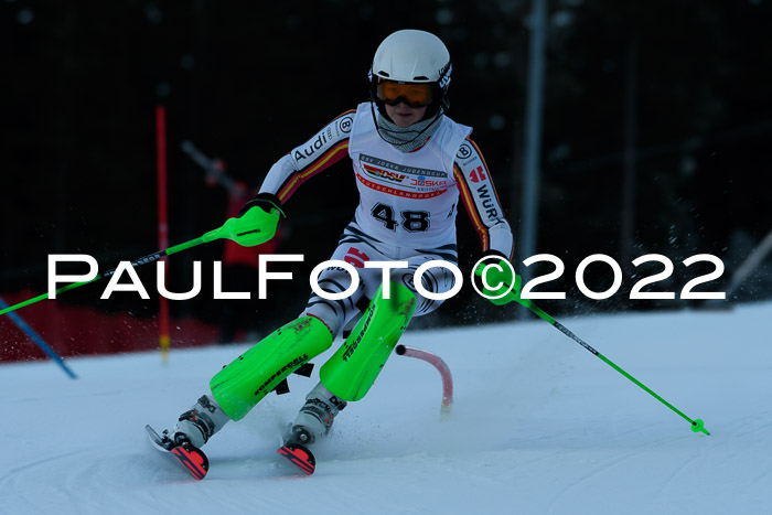 FIS AC NJC Damen + Herren Super-G