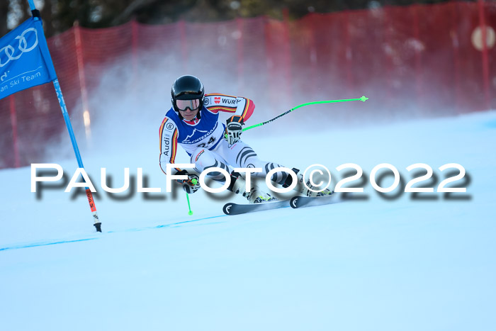 FIS AC NJC Damen + Herren Super-G