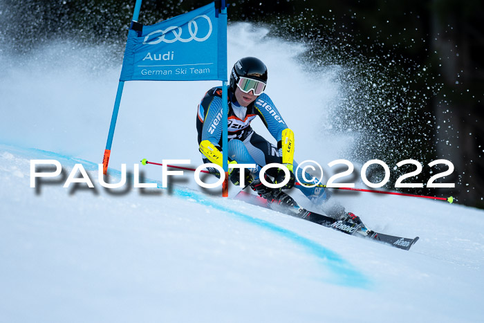 FIS Riesenslalom, ATA, Damen + Herren, 14.02.2022