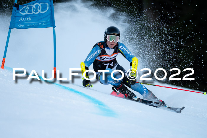 FIS Riesenslalom, ATA, Damen + Herren, 14.02.2022