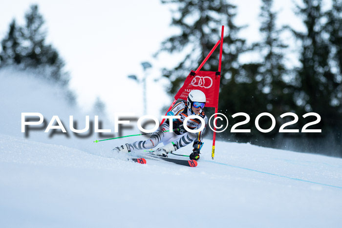 FIS Riesenslalom, ATA, Damen + Herren, 14.02.2022