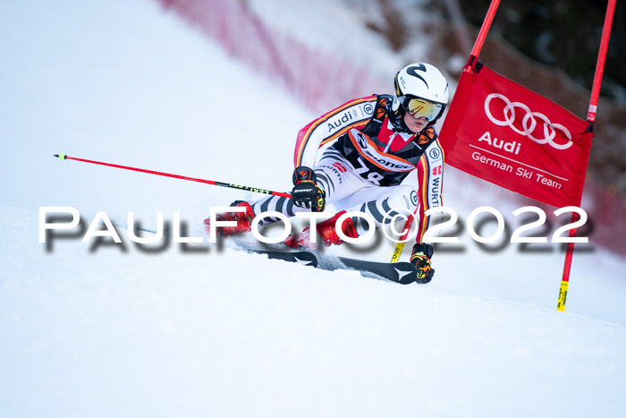 FIS Riesenslalom, ATA, Damen + Herren, 14.02.2022