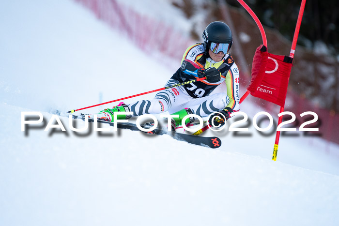 FIS Riesenslalom, ATA, Damen + Herren, 14.02.2022