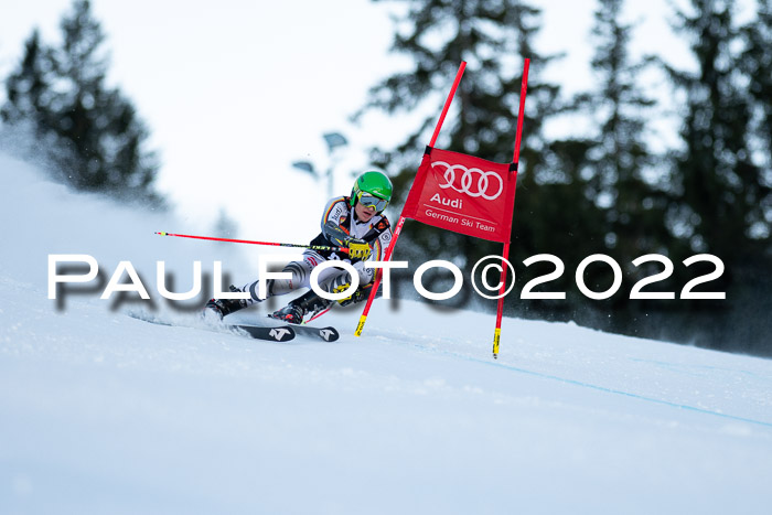 FIS Riesenslalom, ATA, Damen + Herren, 14.02.2022