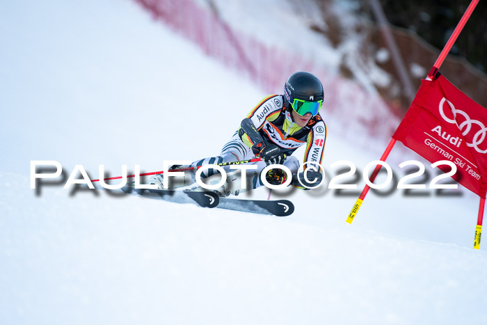 FIS Riesenslalom, ATA, Damen + Herren, 14.02.2022