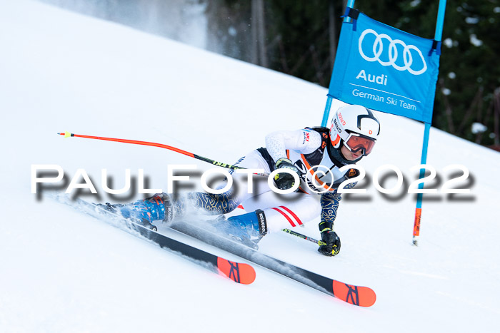 FIS Riesenslalom, ATA, Damen + Herren, 14.02.2022