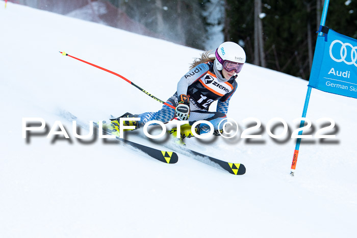 FIS Riesenslalom, ATA, Damen + Herren, 14.02.2022