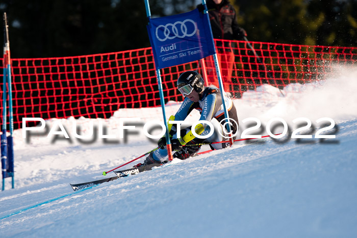 FIS Riesenslalom, ATA, Damen + Herren, 14.02.2022