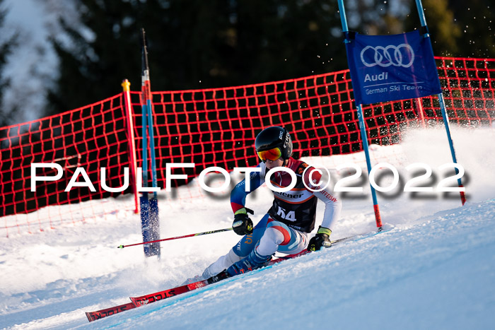 FIS Riesenslalom, ATA, Damen + Herren, 14.02.2022