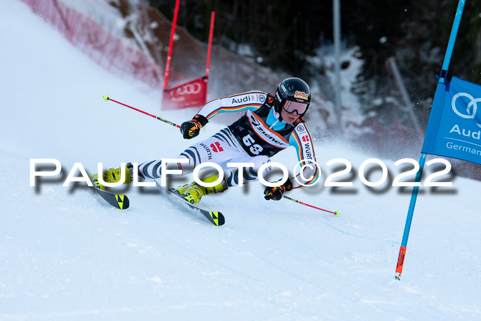 FIS Riesenslalom, ATA, Damen + Herren, 14.02.2022